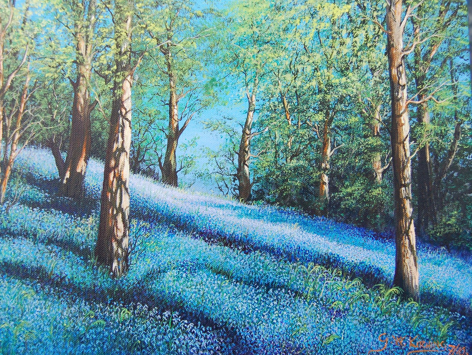 Bluebell Woods: Sunlight falls through tall trees onto a sloping woodland floor carpeted with bluebells.