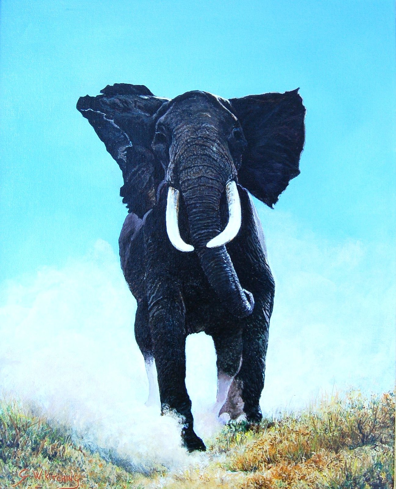 Charging Bull Elephant: A bull elephant charges straight towards the viewer, ears spread wide, kicking up a cloud of dust.