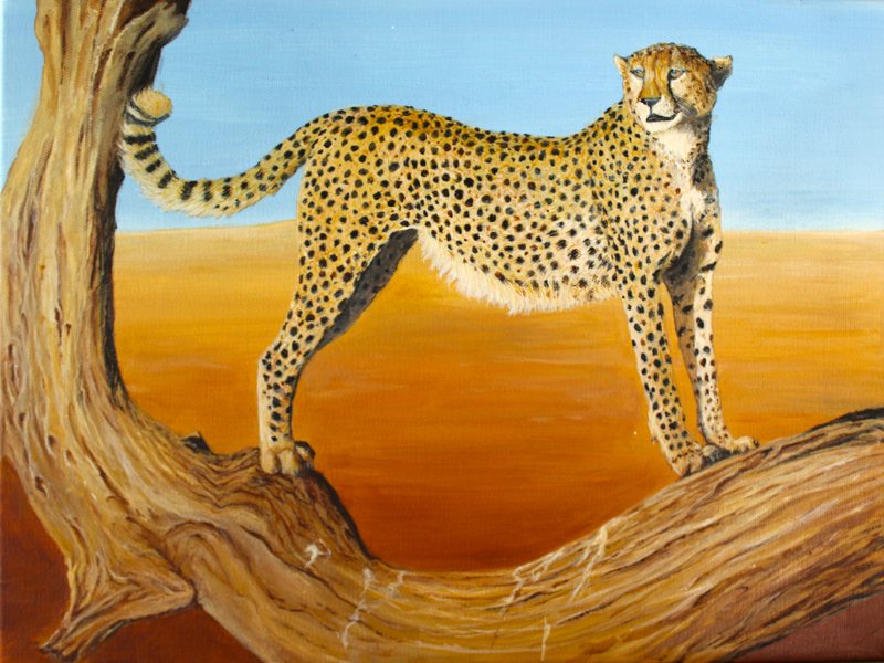Cheetah, oil on canvas painting by George Kitching
