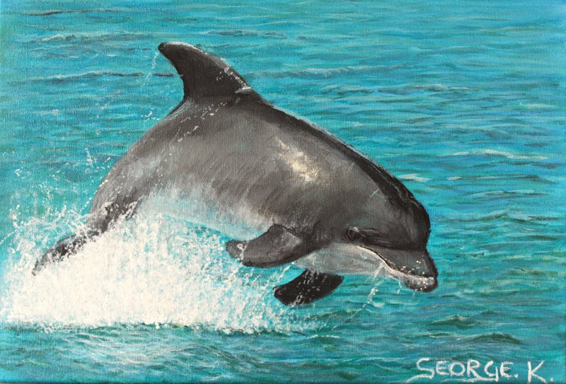 Dolphin, acrylic on canvas painting by George Kitching