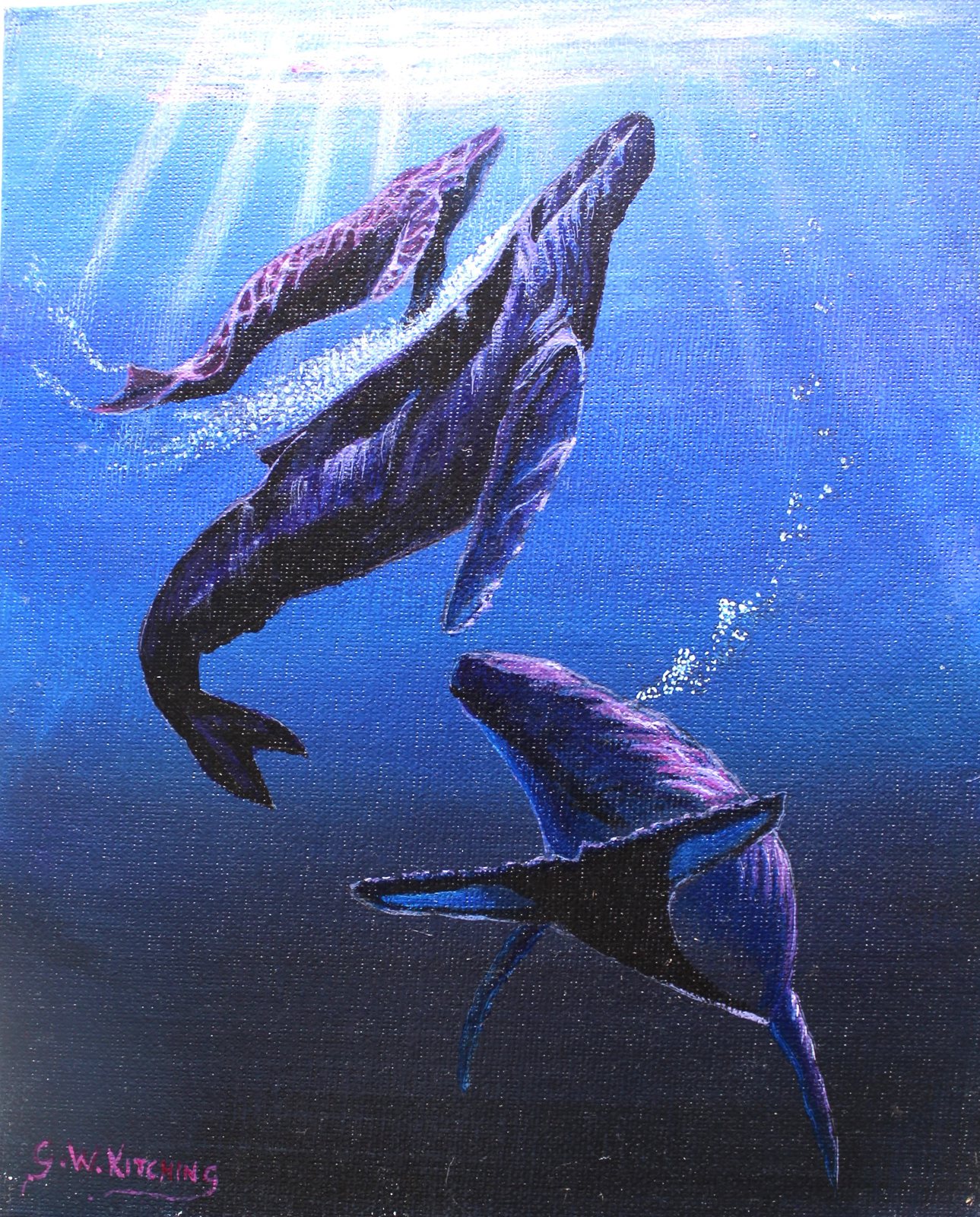 Giants of the Sea: Three whales swim through deep blue water beneath shafts of sunlight, one of them much smaller than the others.