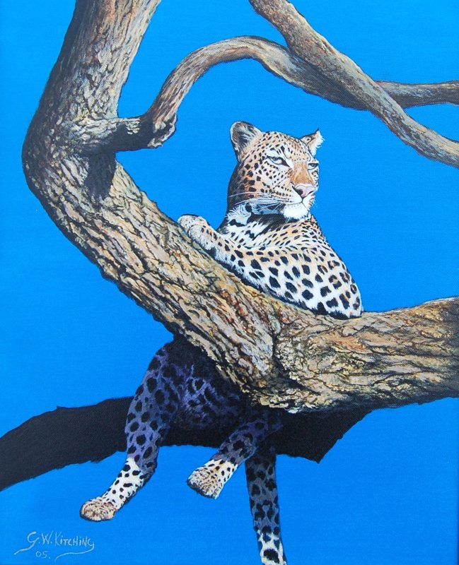 Leopard in a Tree, oil on canvas painting by George Kitching
