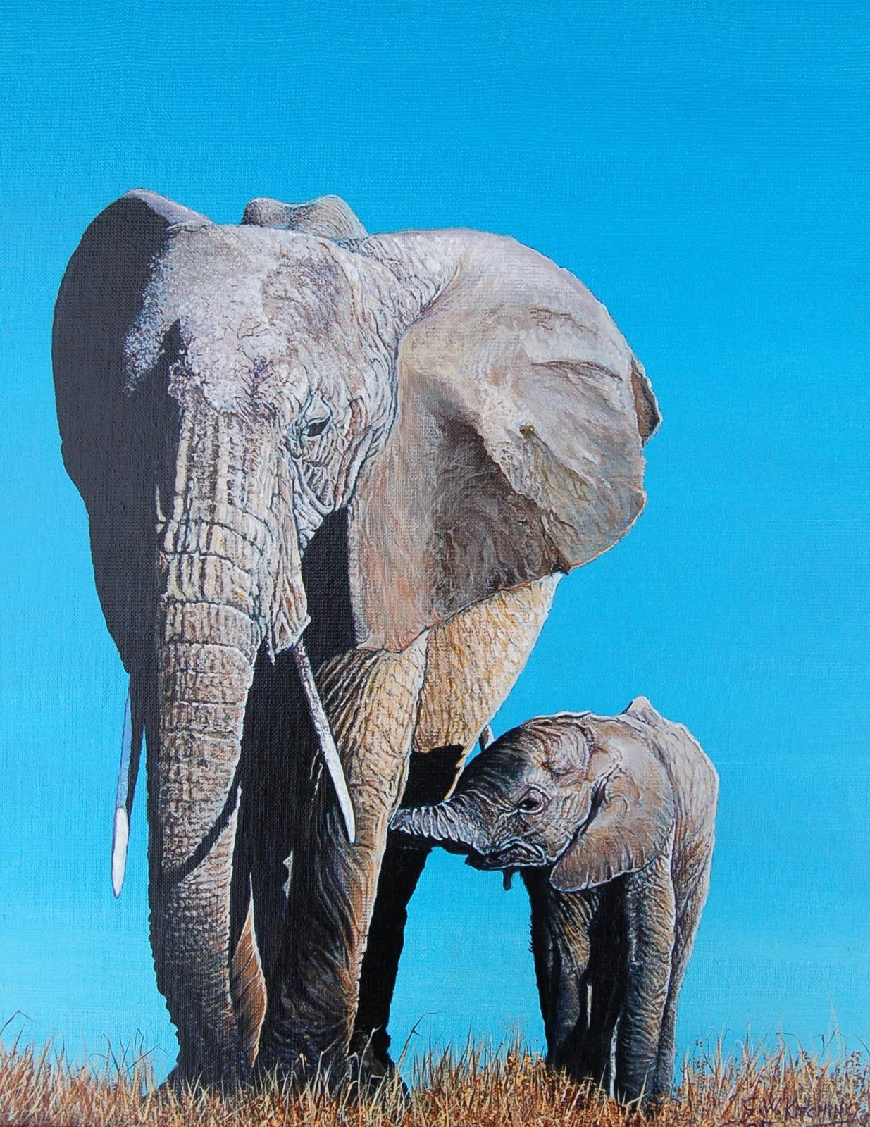 Mother with Calf: An elephant and her young calf stand close together in dry grass beneath a clear blue sky.