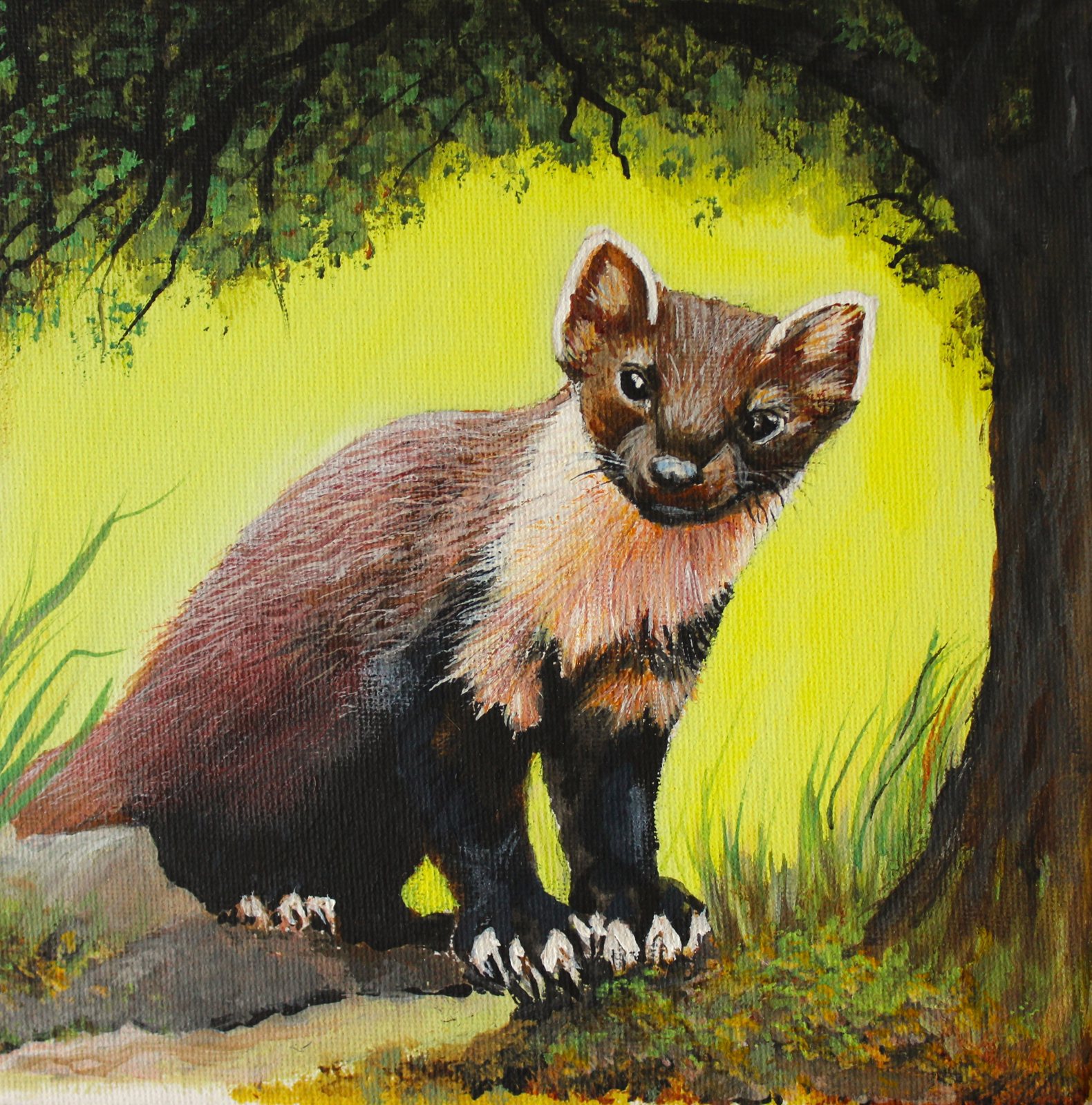 Pine Marten: A pine marten stands on a mossy bank beneath a tree, looking straight out at the viewer.
