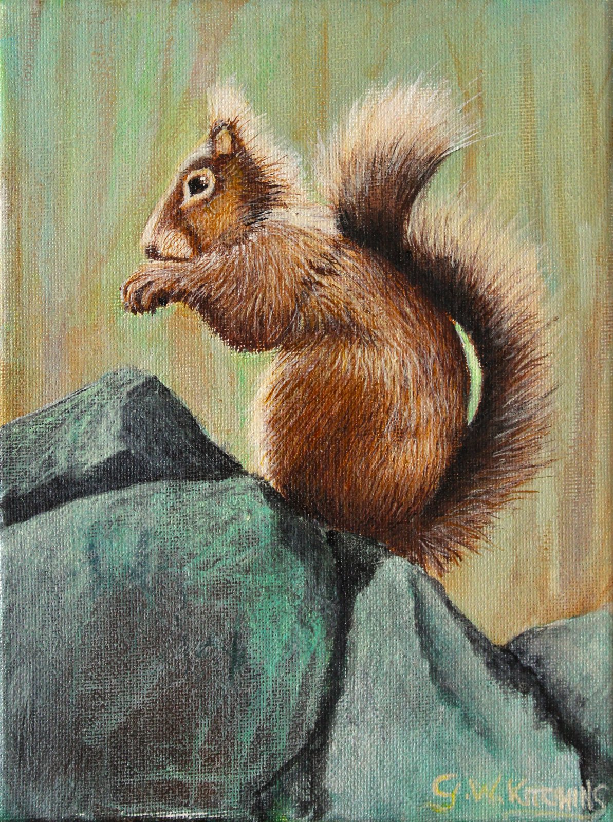 Squirrel on the Rocks: A red squirrel sits upright on grey-green rocks, holding its paws to its mouth as it eats.