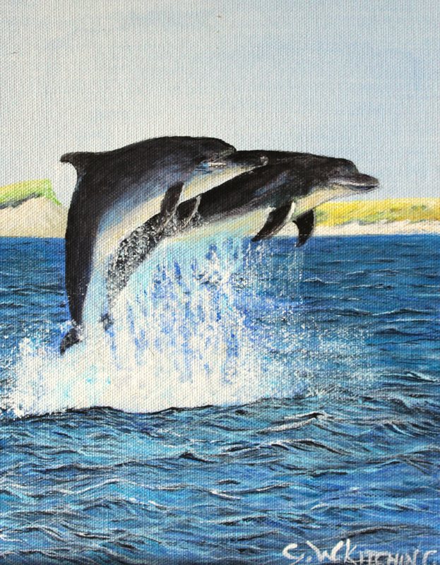 Two Dolphins, acrylic on board painting by George Kitching
