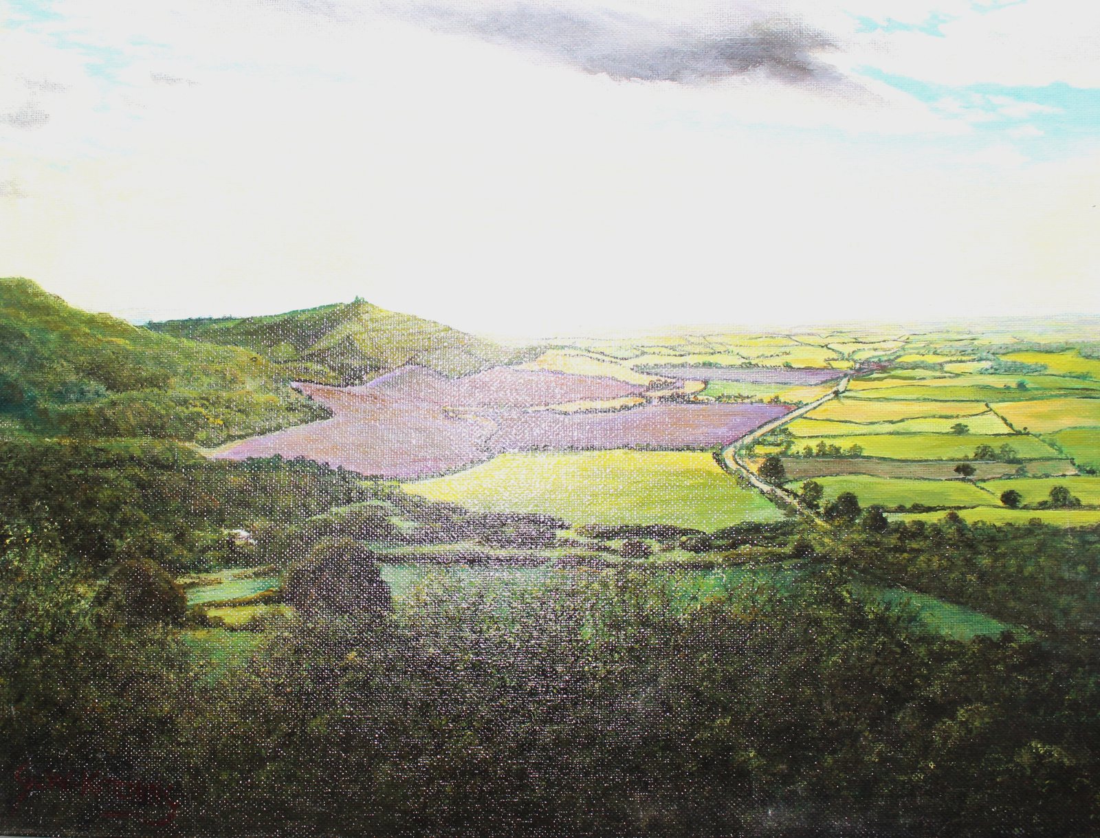 View from Sutton Bank: A wide view over patchwork fields and purple heather from a wooded hillside, beneath a pale, cloud-streaked sky.